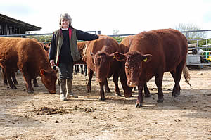 Bridgette in the yard with the Red Ruby Cattle