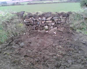 Job done - Cornish hedge back in action