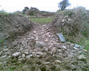 Cornish hedge in need of repair