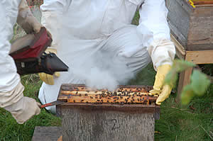 We also sell local honey in the farm shop